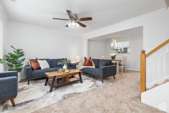 Photo 5 for MLS #2107642 at 856 E Zurich Ln