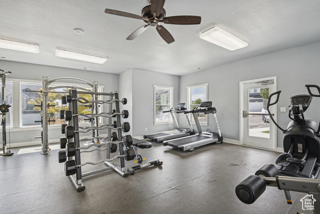 Photo 33 for MLS #2107649 at 4293 N Cresthaven Ln