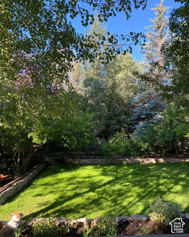Photo 14 for MLS #2107672 at 2867 Lucky John Dr