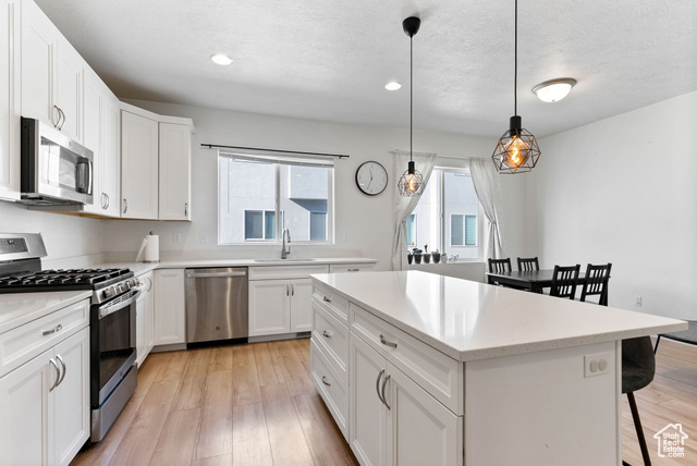 Photo 7 for MLS #2107747 at 15073 S Halter Way