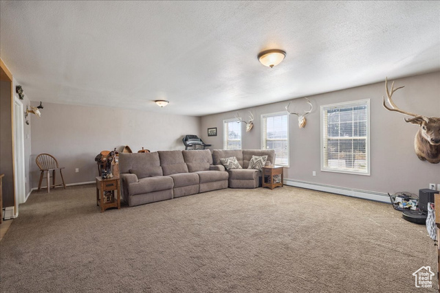 Photo 12 for MLS #2107839 at 66 Apsen Grove Dr