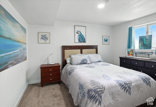 Photo 45 for MLS #2107852 at 2603 E Summerwood Dr