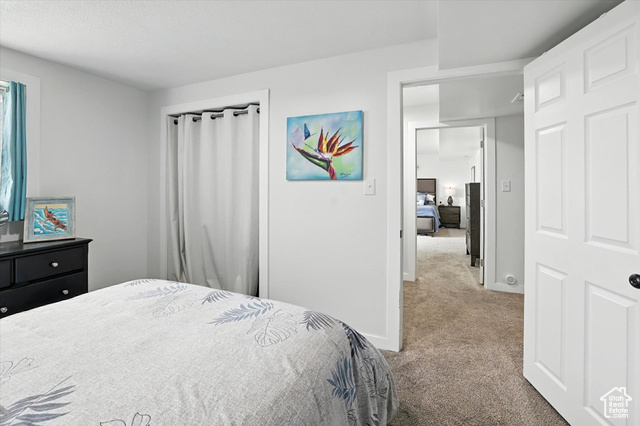 Photo 46 for MLS #2107852 at 2603 E Summerwood Dr