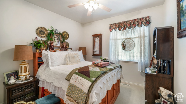Photo 14 for MLS #2107982 at 69 E Wildflower Ct