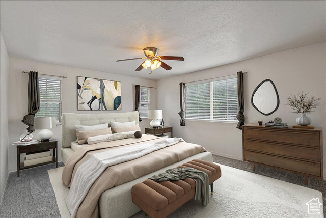 Photo 21 for MLS #2108083 at 6788 S Valence Ln