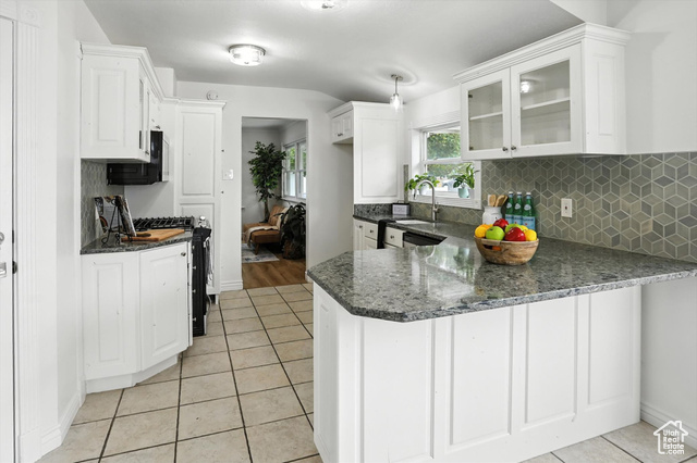 Photo 8 for MLS #2108151 at 1411 E Woodland Ave
