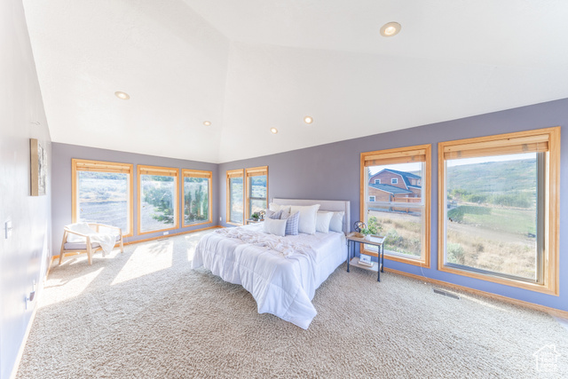 Photo 18 for MLS #2108216 at 16182 S Stepside Rd