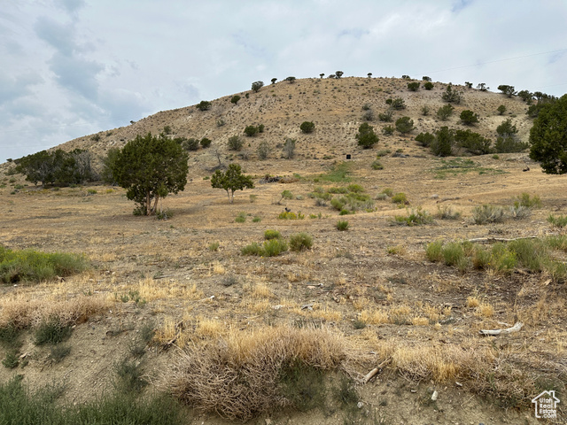19415 N 7150 E, Mt Pleasant UT 84647