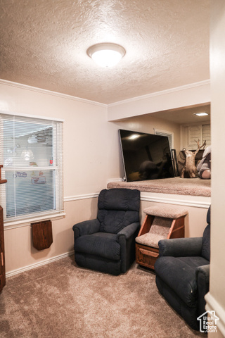 Photo 12 for MLS #2108267 at 549 S Maple St