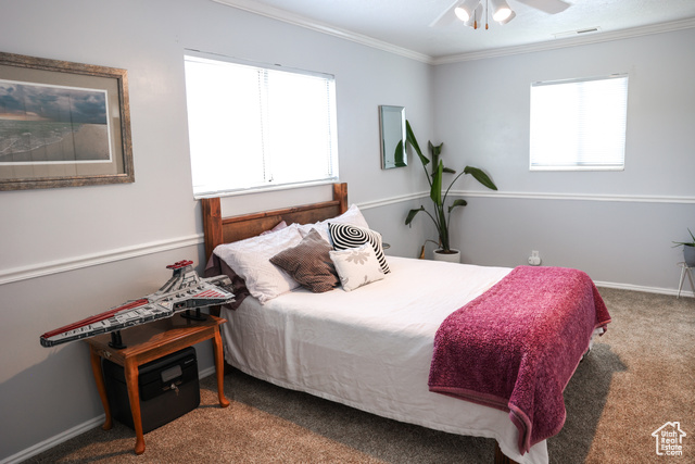 Photo 14 for MLS #2108267 at 549 S Maple St