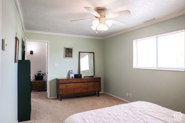 Photo 18 for MLS #2108267 at 549 S Maple St