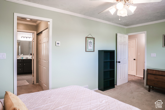 Photo 19 for MLS #2108267 at 549 S Maple St