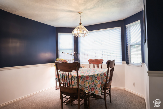 Photo 8 for MLS #2108267 at 549 S Maple St