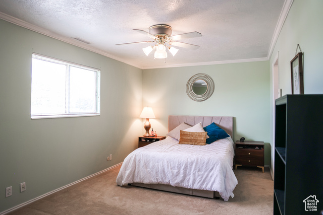 Photo 17 for MLS #2108267 at 549 S Maple St