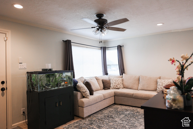 Photo 4 for MLS #2108267 at 549 S Maple St