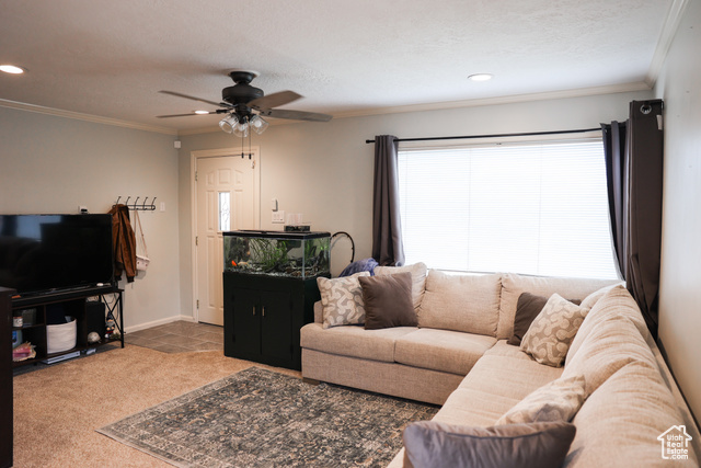 Photo 3 for MLS #2108267 at 549 S Maple St