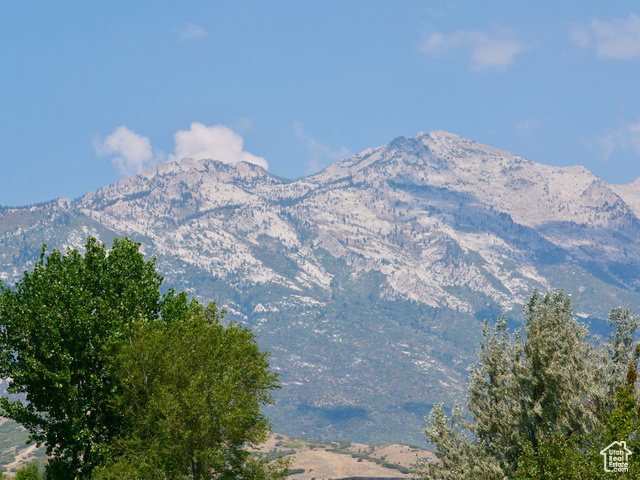 11662 N MERCER HOLLOW CT, Highland UT 84003