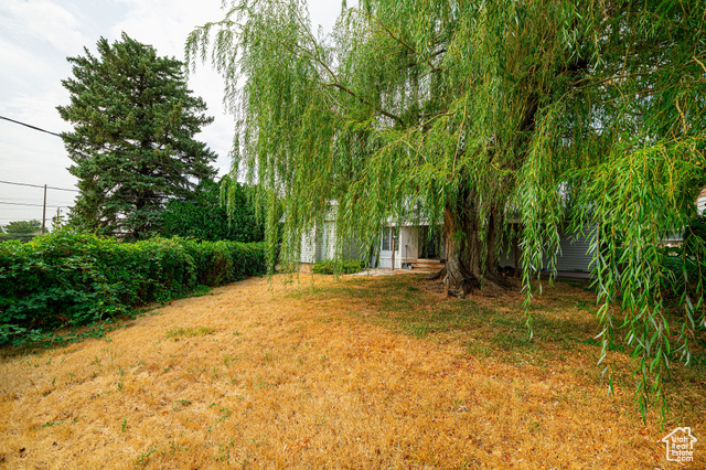 Photo 22 for MLS #2108375 at 1243 Hudson St