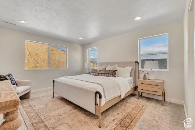Photo 36 for MLS #2108506 at 6646 S Skyloop Dr #8
