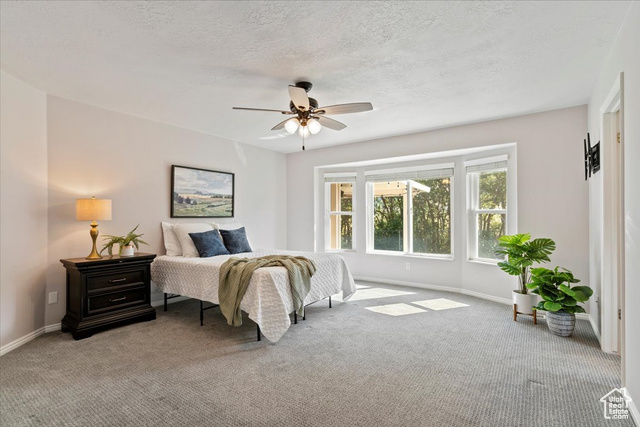 Photo 18 for MLS #2108508 at 1262 N 2575 East