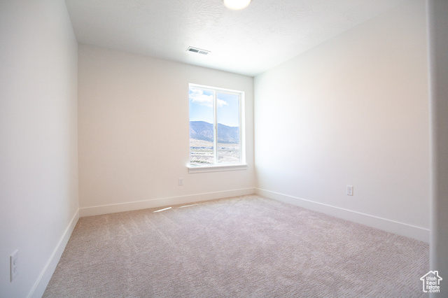Photo 12 for MLS #2108517 at 3245 N Gray Wolf Lane Lot #4001