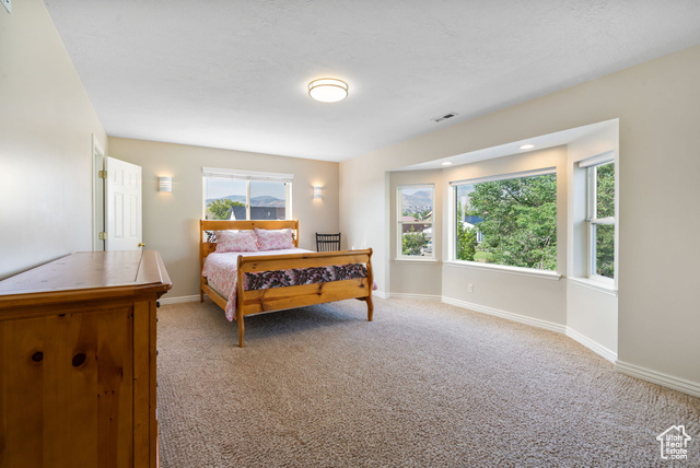 Photo 50 for MLS #2108574 at 13886 S 4000 West