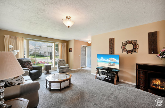 Photo 3 for MLS #2108604 at 315 N Mountain View Ln