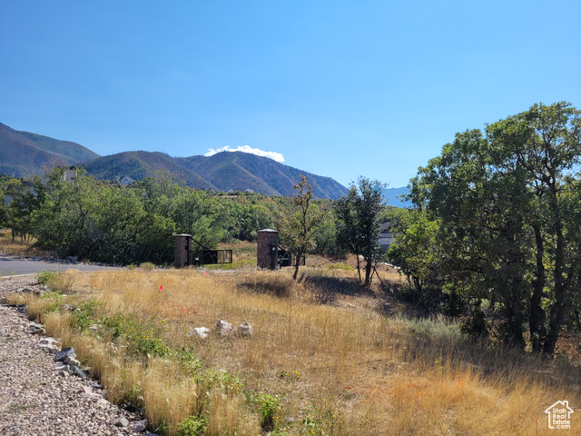 912 W SUMMIT DR, Woodland Hills UT 84653