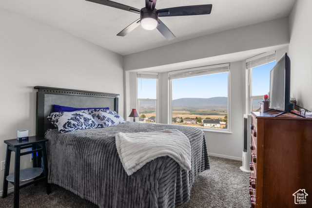 Photo 16 for MLS #2108645 at 10965 N Wallace Ln