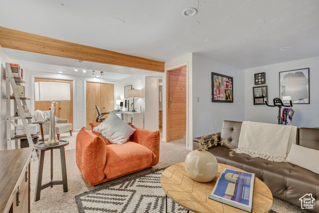 Photo 27 for MLS #2108650 at 311 Jungfrau Hill Rd #27
