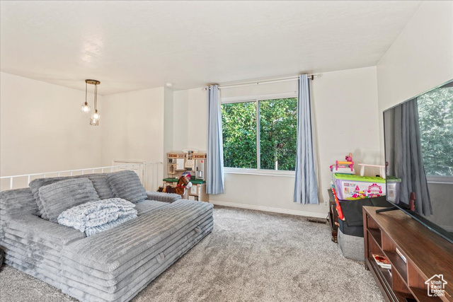 Photo 4 for MLS #2108663 at 4497 S Edgeware Ln
