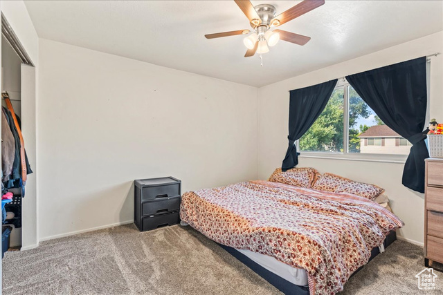 Photo 9 for MLS #2108663 at 4497 S Edgeware Ln