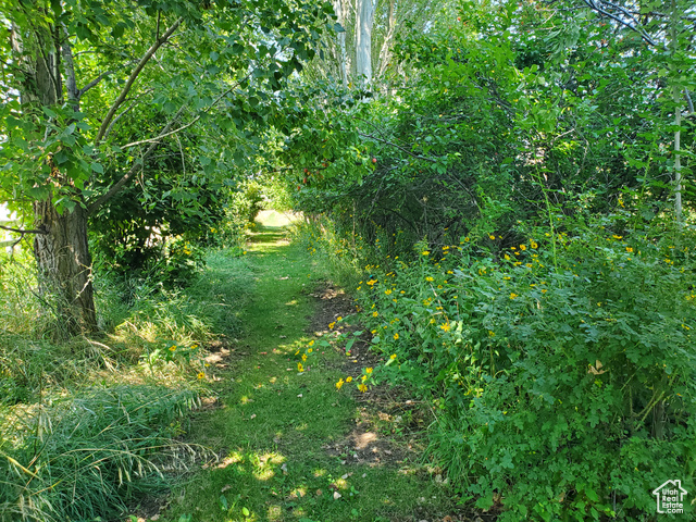 Photo 39 for MLS #2108674 at 1491 E 2300 North