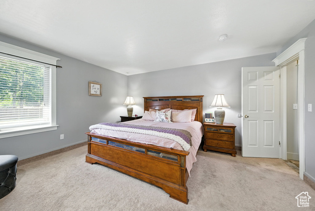 Photo 21 for MLS #2108676 at 6299 W 10950 North