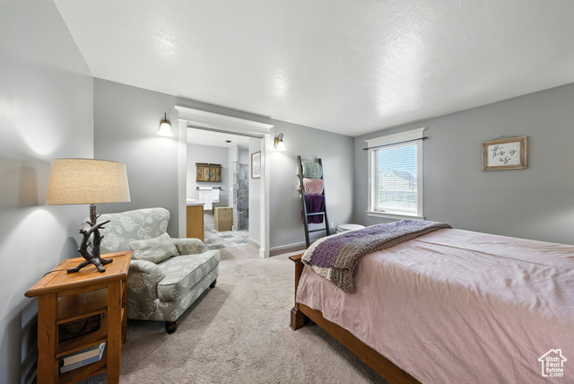 Photo 20 for MLS #2108676 at 6299 W 10950 North