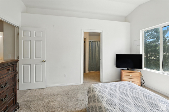 Photo 19 for MLS #2108693 at 5613 Prospero Ln