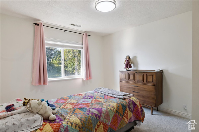 Photo 25 for MLS #2108701 at 1483 E Maple Hills Dr