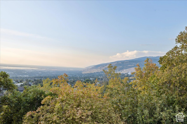 Photo 41 for MLS #2108701 at 1483 E Maple Hills Dr