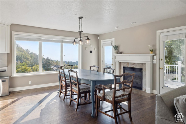 Photo 12 for MLS #2108701 at 1483 E Maple Hills Dr