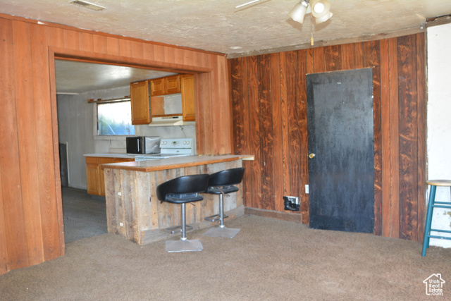 Photo 8 for MLS #2108769 at 30031 Old Lincoln Hwy
