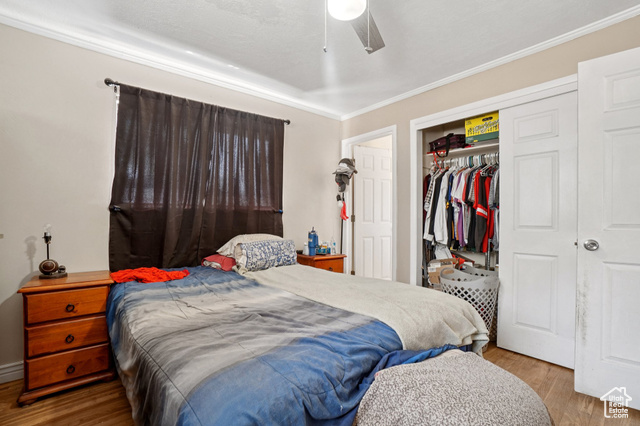 Photo 12 for MLS #2108776 at 385 S Canyon Way