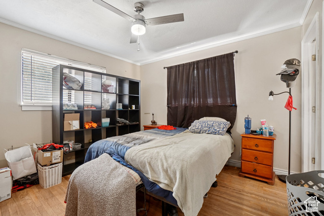 Photo 11 for MLS #2108776 at 385 S Canyon Way