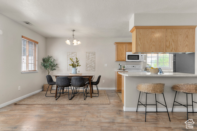 Photo 7 for MLS #2108787 at 10448 S Sage Vista Way