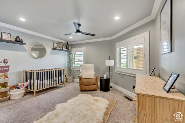 Photo 45 for MLS #2108827 at 270 N Palisade Dr
