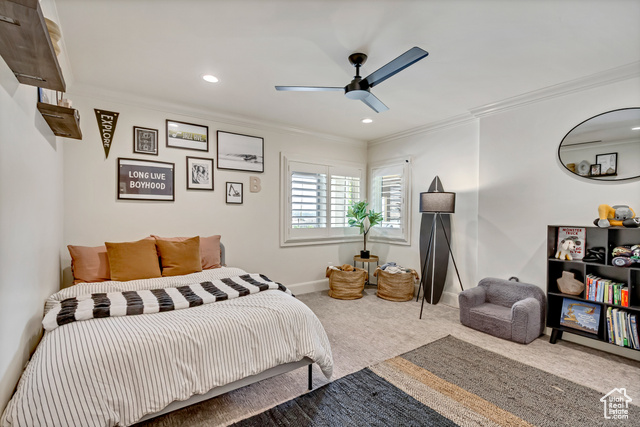 Photo 53 for MLS #2108827 at 270 N Palisade Dr