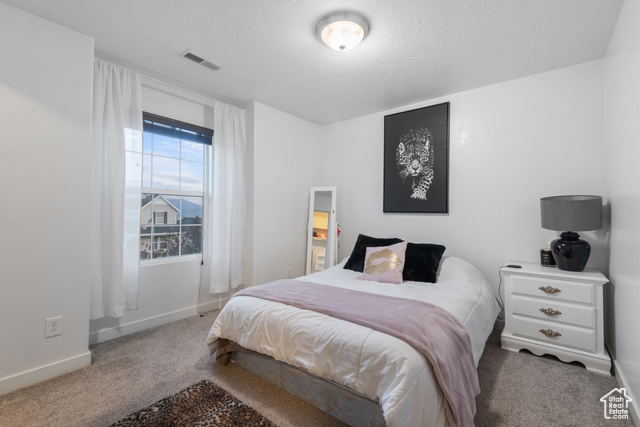 Photo 15 for MLS #2108869 at 8494 S Otter Creek Dr