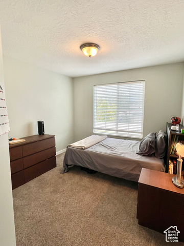 Photo 10 for MLS #2108880 at 875 W Alton Dr