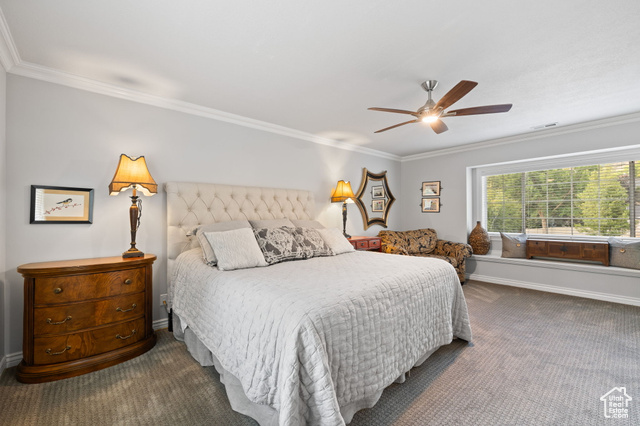 Photo 21 for MLS #2108916 at 1811 E Shadow Valley Dr