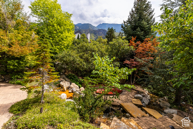 Photo 74 for MLS #2108931 at 3409 E Seven Springs Dr