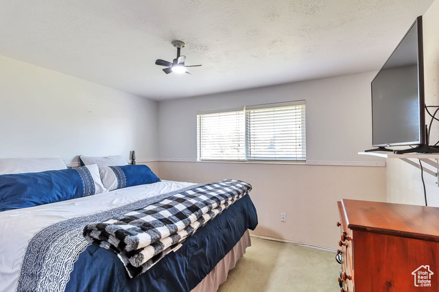 Photo 11 for MLS #2109014 at 2038 W 4600 South